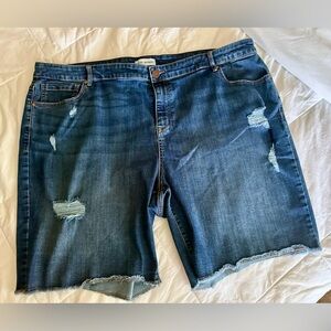 Lane Bryant SZ 24 Distressed Bermuda Denim Shorts